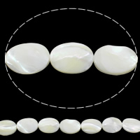 Trochus Beads, Flat Oval, natural, 15x20x5mm, Hole:Approx 1mm, Length:Approx 15 Inch, 10Strands/Bag, Approx 20PCs/Strand, Sold By Bag