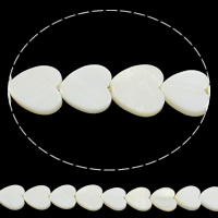 Perles en coquillage blanc naturel, coquille blanche, coeur, 12x12x3mm, Trou:Environ 0.8mm, Longueur:Environ 15.5 pouce, 10Strandstoron/sac, Environ 32PC/brin, Vendu par sac