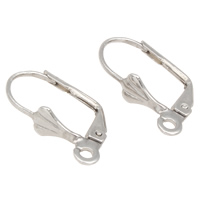 Stainless Steel Lever Back Earring Wires, original color, 5x17x10mm, Hole:Approx 1mm, 100Pairs/Bag, Sold By Bag