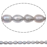 Riso coltivato in perla d'acqua dolce, perla d'acquadolce coltivata naturalmente, grigio, 11-12mm, Foro:Appross. 2mm, Venduto per Appross. 15 pollice filo