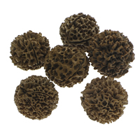 Buddha Beads Rudraksha Round original color 31-41mm Approx 1.5mm Sold By Bag