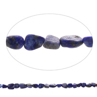 Chipsy Gemstone, Lapis lazuli naturalny, Bryłki, Naturalne, 6x3mm-8x12x3mm, otwór:około 1mm, około 54komputery/Strand, sprzedawane na około 15.5 cal Strand