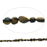 Chips de pierres précieuses, oeil de tigre, pepite, naturel, 6mm-8x12x6mm, Trou:Environ 1mm, Environ 45PC/brin, Vendu par Environ 15.5 pouce brin