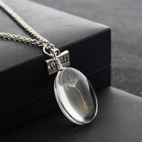 Glass Globe Necklace with Zinc Alloy Flat Oval word wish antique silver color plated with dandelion seeds & twist oval chain nickel lead & cadmium free Sold Per Approx 23.6 Inch Strand