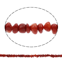 Perles en corail naturel, rouge, 10x6mm-13x8mm, Trou:Environ 1mm, Environ 45PC/brin, Vendu par Environ 15.5 pouce brin