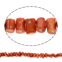 Natürliche Korallen Perlen, klare Orange, 20x13mm-25x17mm, Bohrung:ca. 1mm, ca. 32PCs/Strang, verkauft per ca. 15.5 ZollInch Strang
