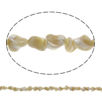 Perles de coquillage jaune naturel, coquille jaune, 8x7mm-11x9x6mm, Trou:Environ 1mm, Environ 40PC/brin, Vendu par Environ 15.5 pouce brin