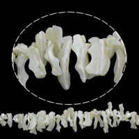 Natürliche weiße Muschelperlen, weiß, 13x22x8mm-13x38x12mm, Bohrung:ca. 1mm, ca. 62PCs/Strang, verkauft per ca. 15.5 ZollInch Strang