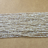 Koraliki z naturalnej słodkowodnej perły, Muszla, Koło, różnej wielkości do wyboru, otwór:około 0.5mm, długość około 15.5 cal, sprzedane przez wiele
