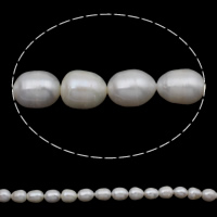 Riso coltivato in perla d'acqua dolce, perla d'acquadolce coltivata naturalmente, naturale, bianco, 12mm, Foro:Appross. 0.8mm, Venduto per Appross. 15 pollice filo