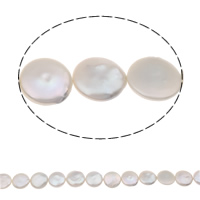 Pièce de culture des perles d'eau douce, perle d'eau douce cultivée, pièce de monnaie, naturel, blanc, 14-15mm, Trou:Environ 0.8mm, Vendu par 15.7 pouce brin