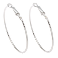 Iron Earring, platinum color plated, lead & cadmium free, 48x52x2mm, Sold By Pair