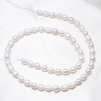 Perlas Arroz Freshwater, Perlas cultivadas de agua dulce, natural, Blanco, 6-7mm, agujero:aproximado 0.8mm, Vendido para aproximado 15.5 Inch Sarta