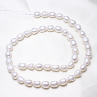 Riso coltivato in perla d'acqua dolce, perla d'acquadolce coltivata naturalmente, naturale, bianco, 7-8mm, Foro:Appross. 0.8mm, Venduto per Appross. 15.5 pollice filo