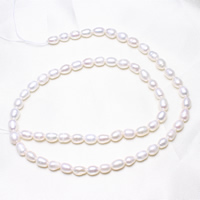 Perlas Arroz Freshwater, Perlas cultivadas de agua dulce, natural, Blanco, 4-5mm, agujero:aproximado 0.8mm, Vendido para aproximado 15.5 Inch Sarta