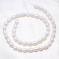 Riso coltivato in perla d'acqua dolce, perla d'acquadolce coltivata naturalmente, naturale, bianco, 6-7mm, Foro:Appross. 0.8mm, Venduto per Appross. 15.5 pollice filo