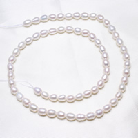 Perles d'eau douce de culture de riz, perle d'eau douce cultivée, naturel, blanc, 4-5mm, Trou:Environ 0.8mm, Vendu par Environ 15.5 pouce brin