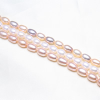 Cultured Rice Freshwater Pearl Beads, natural, more colors for choice, 5.5-6mm, Hole:Approx 0.8mm, Sold Per Approx 15.5 Inch Strand