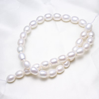 Cultured Rice Freshwater Pearl Beads, natural, white, 9-10mm, Hole:Approx 0.8mm, Sold Per Approx 15.5 Inch Strand