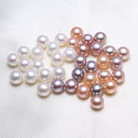 Perles nacres sans trou de culture d'eau douce, perle d'eau douce cultivée, pomme de terre, naturel, aucun trou, plus de couleurs à choisir, 6.5-7mm, 10PC/sac, Vendu par sac