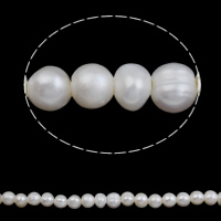 Perles nacres baroques de culture d'eau douce , perle d'eau douce cultivée, pomme de terre, blanc, Niveau AA, 10-11mm, Trou:Environ 0.8mm, Vendu par 15 pouce brin