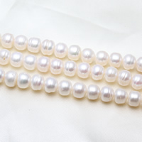 Button Kulturan Slatkovodni Pearl perle, Dugme, prirodan, bijel, 9-10mm, Rupa:Približno 0.8mm, Prodano Per Približno 15.7 inčni Strand