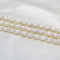 Cultured Rice Freshwater Pearl Beads natural white Grade A 8-9mm Approx 0.8mm Sold Per 15 Inch Strand