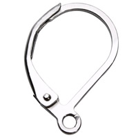 Stainless Steel Hook slangetje, Roestvrij staal, oorspronkelijke kleur, 11x16mm, Gat:Ca 1mm, 20pC's/Bag, Verkocht door Bag