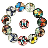 Glass Cabochon Flat Round butterfly design & time gem jewelry & mixed pattern & flat back & decal Sold By Bag