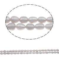 Perlas Arroz Freshwater, Perlas cultivadas de agua dulce, natural, gris, Grado A, 4-5mm, agujero:aproximado 0.8mm, Vendido para 15 Inch Sarta