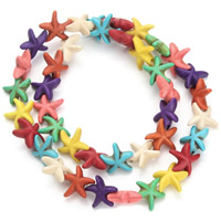 Turquoise Beads, Starfish, mixed colors, 14x5mm, Hole:Approx 1.5mm, Approx 26PCs/Strand, Sold Per Approx 15.5 Inch Strand