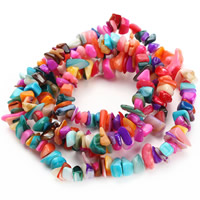 Natural Freshwater Shell Beads, Nuggets, mixed colors, 8-12mm, Hole:Approx 1.5mm, Approx 76PCs/Strand, Sold Per Approx 31 Inch Strand