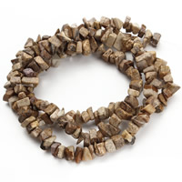 Natural Picture Jasper Beads, Nuggets, 5-8mm, Hole:Approx 1.5mm, Approx 120PCs/Strand, Sold Per Approx 31 Inch Strand