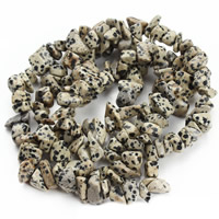 Dalmatian Beads, dalmata, Pepite, 8-12mm, Foro:Appross. 1.5mm, Appross. 76PC/filo, Venduto per Appross. 31 pollice filo