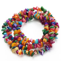 Natural Freshwater Shell Beads, Nuggets, mixed colors, 5-8mm, Hole:Approx 1.5mm, Approx 120PCs/Strand, Sold Per Approx 31 Inch Strand