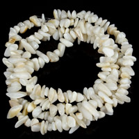 天然白いシェル・ビーズ, 白い貝, ナゲット, 5-8mm, 穴:約 1.5mm, 約 120パソコン/ストランド, で販売される 約 31 インチ ストランド