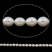 Cultured Rice Freshwater Pearl Beads, natural, white, Grade A, 8-9mm, Hole:Approx 1.5mm, Sold Per 14.5 Inch Strand
