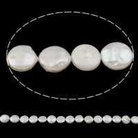 Coin Kulturan Slatkovodni Pearl perle, Novčić, bijel, 12-13mm, Rupa:Približno 0.8mm, Prodano Per Približno 15.3 inčni Strand