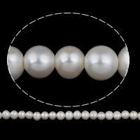 Perlas Patata Freshwater, Perlas cultivadas de agua dulce, natural, Blanco, 11-12mm, agujero:aproximado 2.5mm, Vendido por Sarta