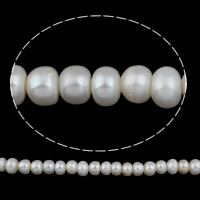 Natürliche kultivierte Süßwasserperlen Perle, Knopf, weiß, 12-13mm, Bohrung:ca. 2.5mm, verkauft von Strang