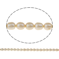 Rozliczenia perełki perły słodkowodne, Perła naturalna słodkowodna, Ryż, żółty, 8-9mm, otwór:około 0.8mm, sprzedawane na około 15.5 cal Strand