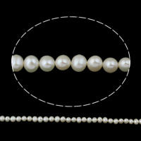 Lagerluft Süßwasser Perlen, Natürliche kultivierte Süßwasserperlen, Kartoffel, natürlich, weiß, Klasse AA, 5-6mm, Bohrung:ca. 0.8mm, verkauft per ca. 14.5 ZollInch Strang