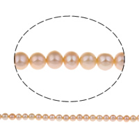 Clearance sötvatten pärlor, Freshwater Pearl, Potatis, naturlig, rosa, Grade AA, 6-7mm, Hål:Ca 0.8mm, Såld Per Ca 15 inch Strand