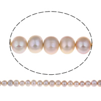 Jewelry Beads Liquidazione, perla d'acquadolce coltivata naturalmente, Patata, naturale, viola, grado A, 10-11mm, Foro:Appross. 0.8mm, Venduto per Appross. 14.5 pollice filo