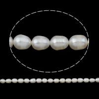 Ris odlad sötvattenspärla pärlor, Freshwater Pearl, naturlig, vit, Grade A, 7-8mm, Hål:Ca 0.8mm, Såld Per 14.5 inch Strand