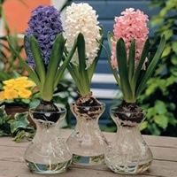 Glas Vase, gemischt, 75x145mm, 10PCs/Tasche, verkauft von Tasche
