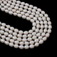 Natürliche kultivierte Süßwasserperlen Perle, Reis, weiß, 7-8mm, Bohrung:ca. 0.8mm, verkauft per ca. 15.5 ZollInch Strang