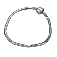 acier inoxydable European Bracelet cordon, longueur différente pour le choix & chaîne serpent, couleur originale, 3mm, 20x10x10mm, Vendu par brin