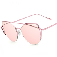 Fashion Sunglasses PC Plastic with PC plastic lens & Zinc Alloy plated Unisex & with painted Sold By PC