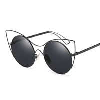 Fashion Sunglasses PC Plastic with PC plastic lens & Zinc Alloy plated Unisex & with painted Sold By PC
